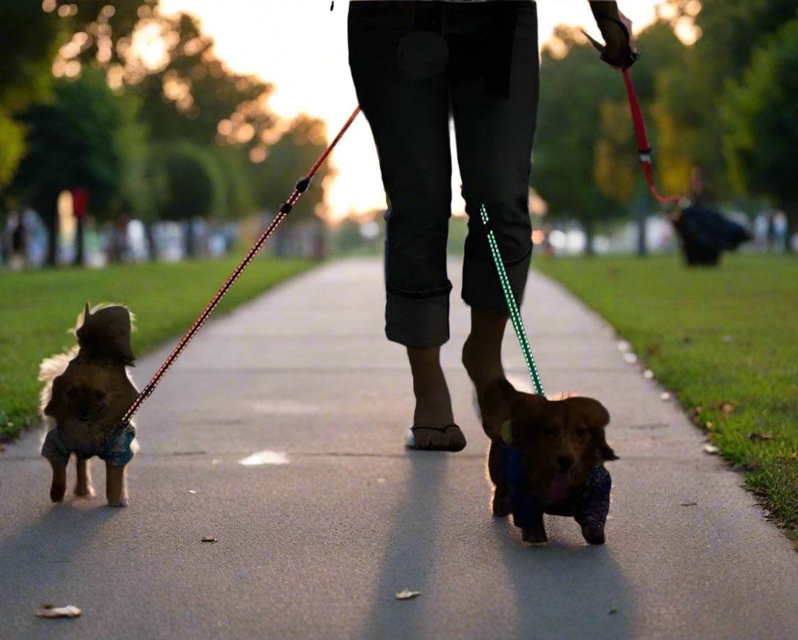 TwistGuard Duo Leash - EPIC Online Store