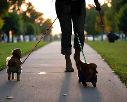 TwistGuard Duo Leash - EPIC Online Store